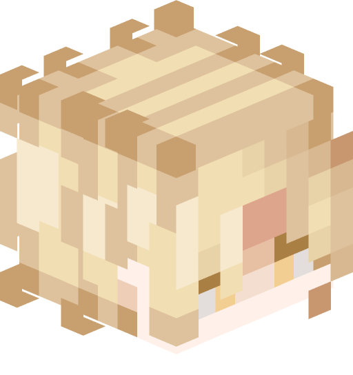 Errei196's player head