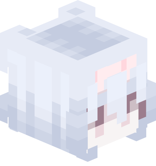 Hookk's player head