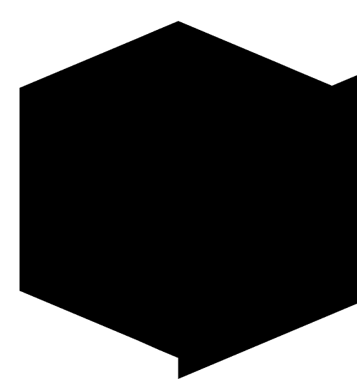 Mr_Salami's player head