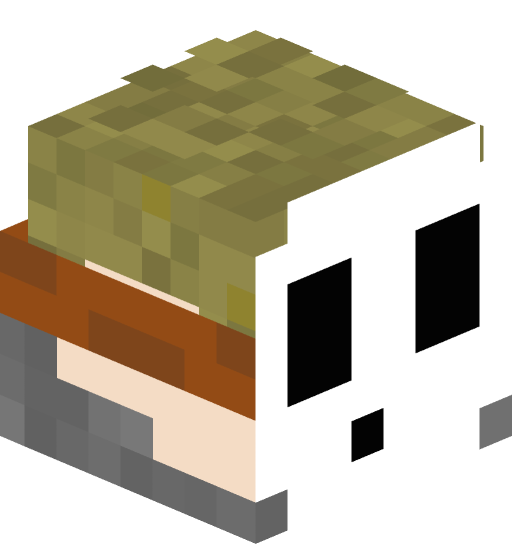 Nateopolis9's player head