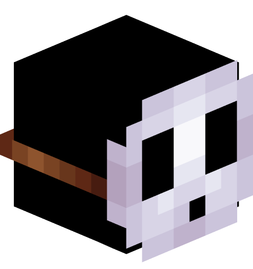 Shoopico's player head