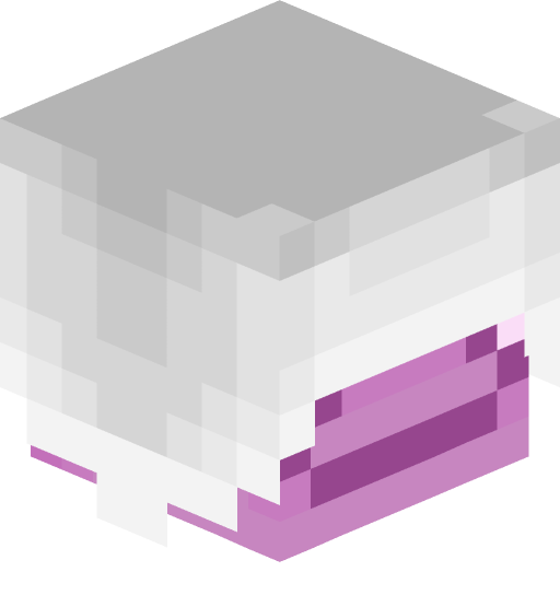 Soggy_Effect's player head