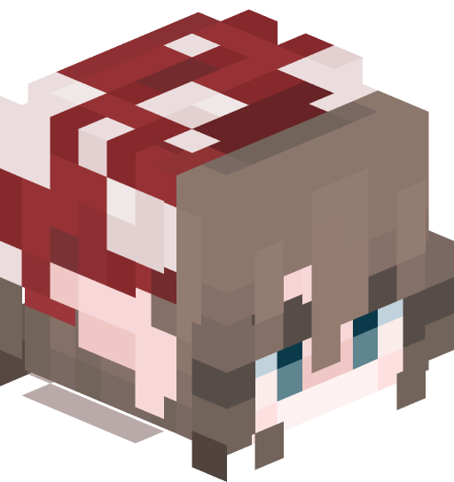 TheBigMacaroon's player head