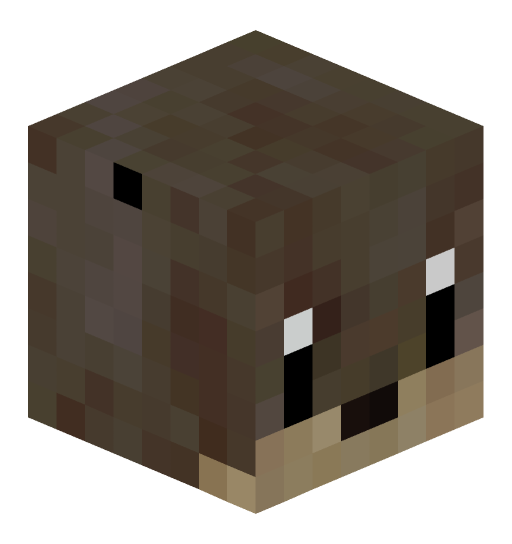 TheWaterOtter's player head