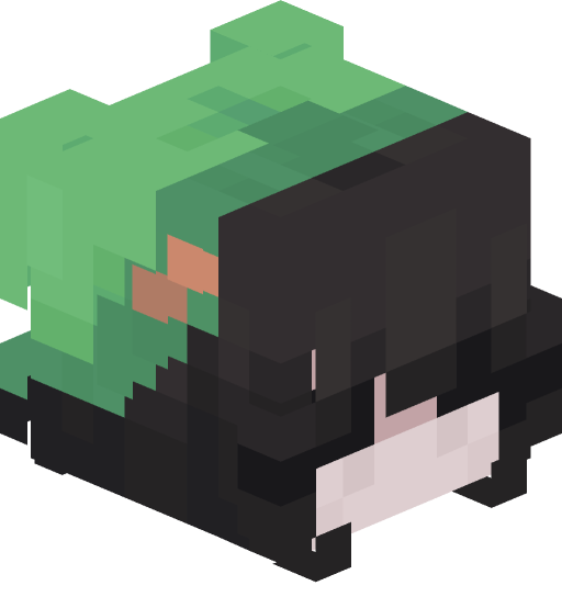 itsAv's player head