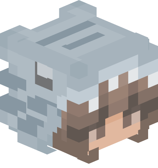 raee05's player head