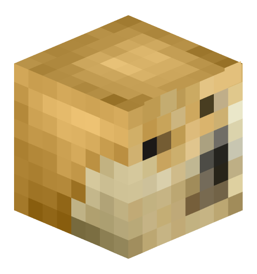 zepacks's player head